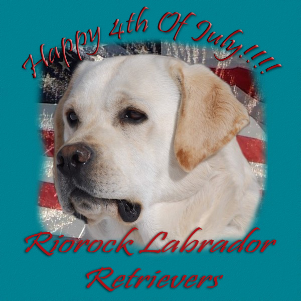 Riorock Labrador Retrievers Breeders Iowa, Formerly� Colorado Black Chocolate Yellow Labs