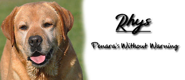 Penara's Without Warning Labs New England NH MA CT VT RI